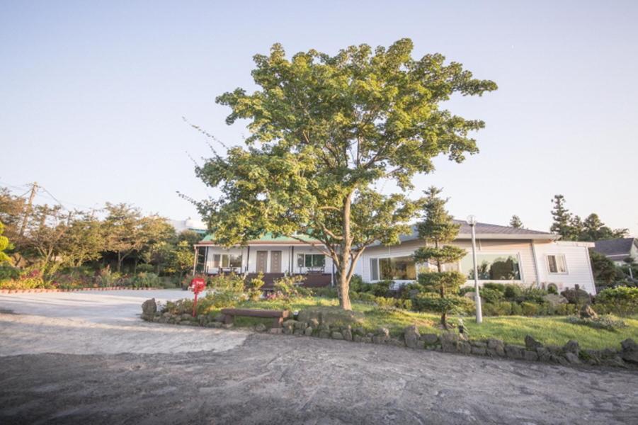 Sunyang Village Pension Jeju Exterior foto